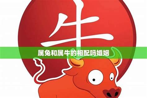 牛跟兔合嗎|兔和牛的十二生肖兼容性：愛情和關係 